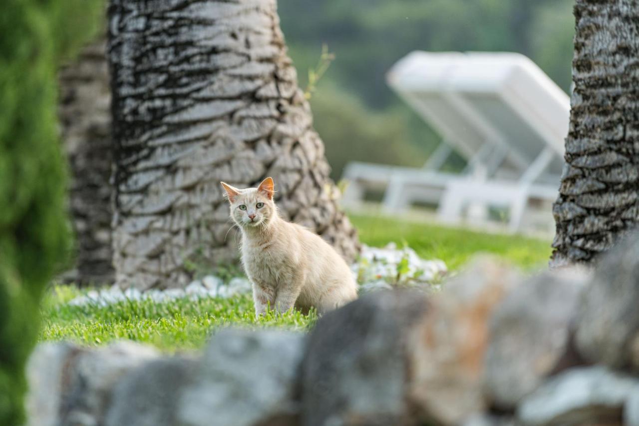Monnaber Vell Otel Campanet Dış mekan fotoğraf