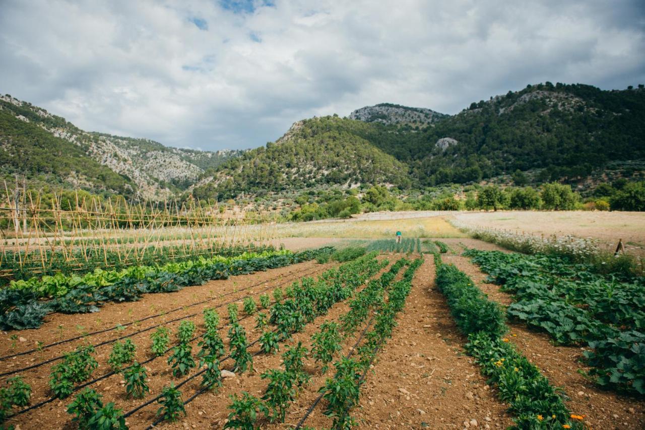 Monnaber Vell Otel Campanet Dış mekan fotoğraf
